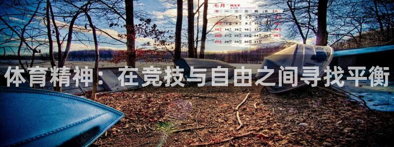 米兰体育官方正版app集团官网首页：体育精神：在竞技