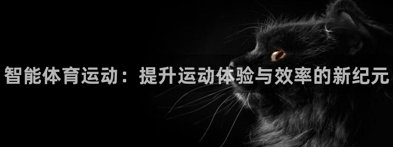 米兰体育官方正版app集团logo：智能体育运动：提