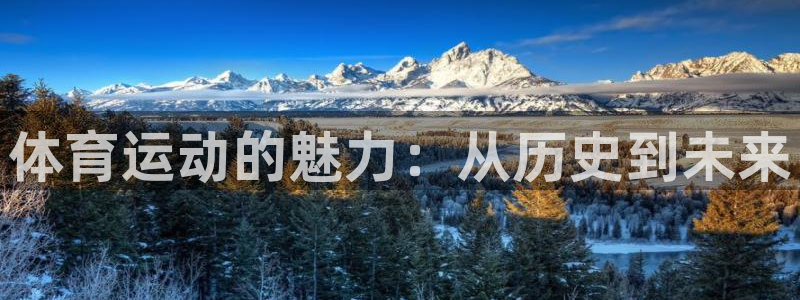 米兰体育官网下载招商电话地址是多少：体育运动的魅力：