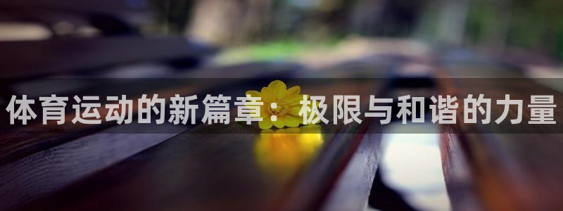 米兰体育官方正版app娱乐代理怎么样：体育运动的新篇