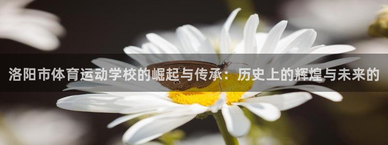 米兰体育官网下载平台是正规平台吗知乎：洛阳市体育运动