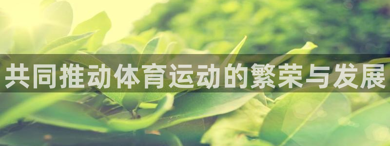 米兰体育官方正版app集团简介：共同推动体育运动的繁