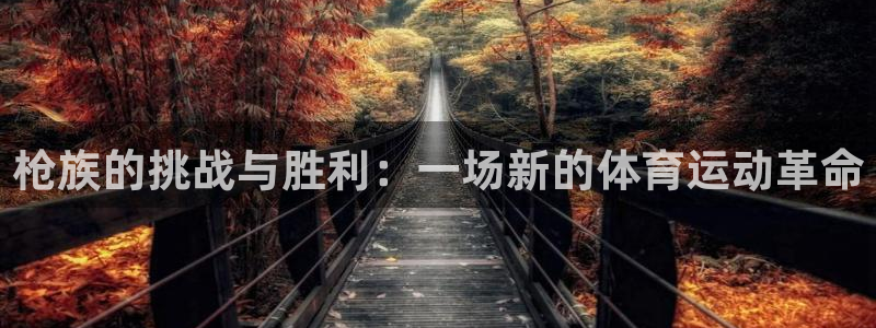 米兰体育官方正版app娱乐首页网站大全：枪族的挑战与