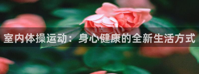 米兰体育官方正版app集团logo：室内体操运动：身