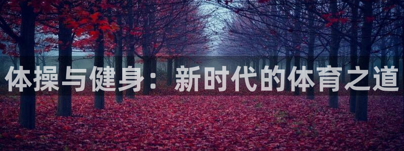 米兰体育官网下载平台是正规平台吗：体操与健身：新时代