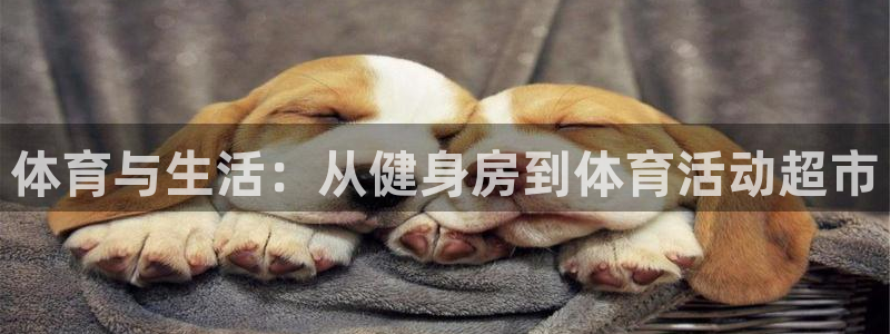 米兰体育官网下载平台注册流程视频：体育与生活：从健身房到体育