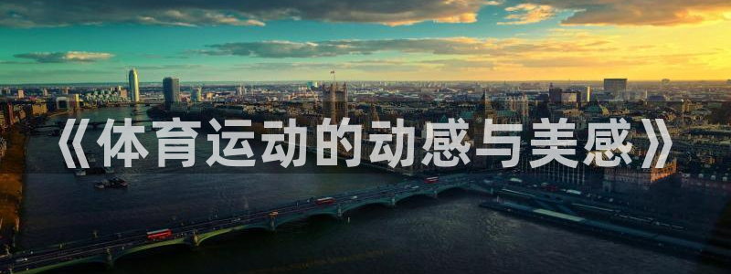米兰体育官网下载招商电话是多少：《体育运动的动感与美感》