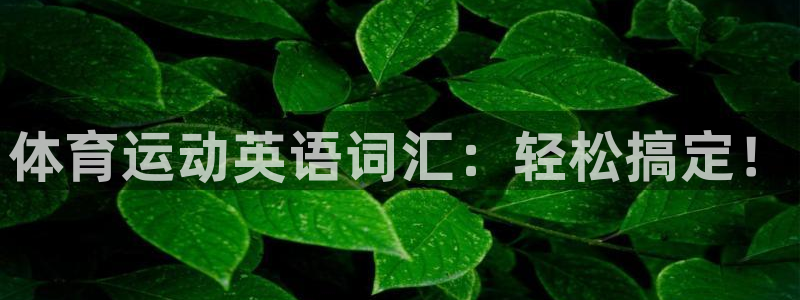 米兰体育官网下载开户