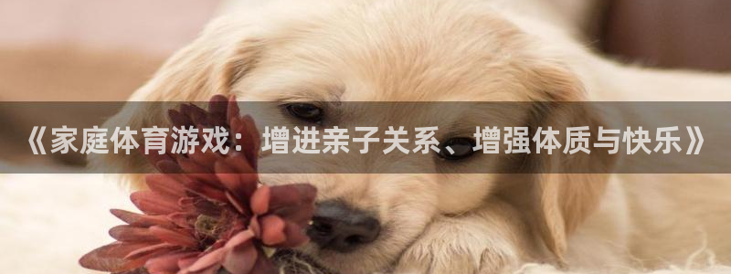 米兰体育开了多久：《家庭体育游戏：增