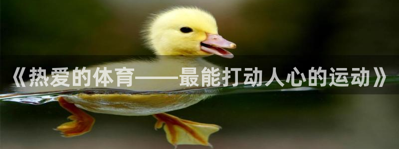 米兰体育人工客服电话是多少：《热爱的