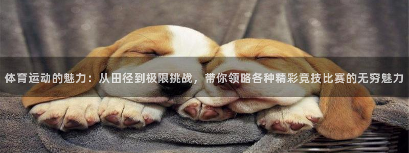 米兰体育报老板是谁：体育运动的魅力：