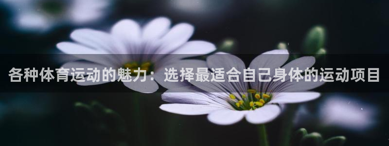 米兰体育登陆：各种体育运动的魅力：选