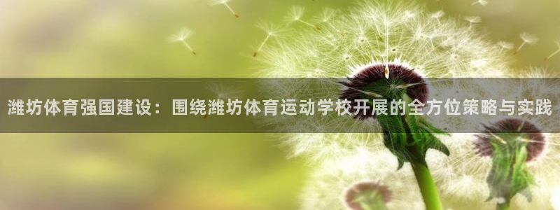 米兰体育app下载地址怎么改：潍坊体