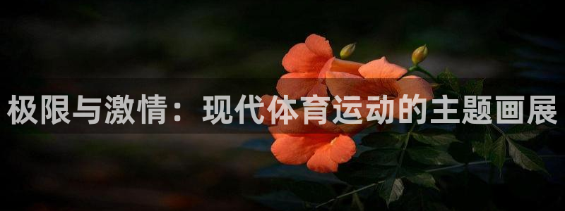 米兰体育app官网入口安卓：极限与激