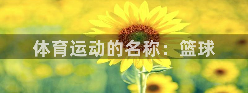 米兰体育官网：体育运动的名称：篮球