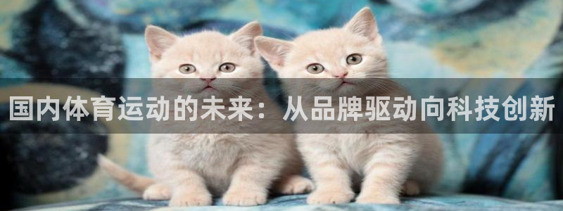 米兰体育报卡纳瓦罗