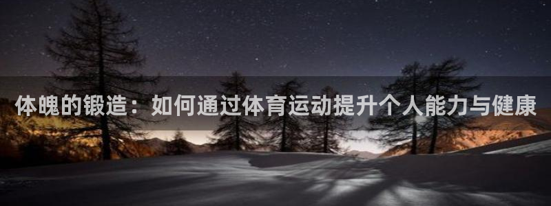 国际米兰体育场