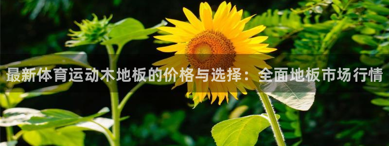 米兰体育官网下载平台是正规平台吗：最新体育运动木地板的价格与