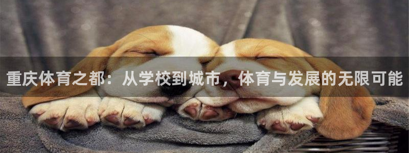 米兰体育官网下载平台是正规平台吗安全吗：重庆体育之都：从学校