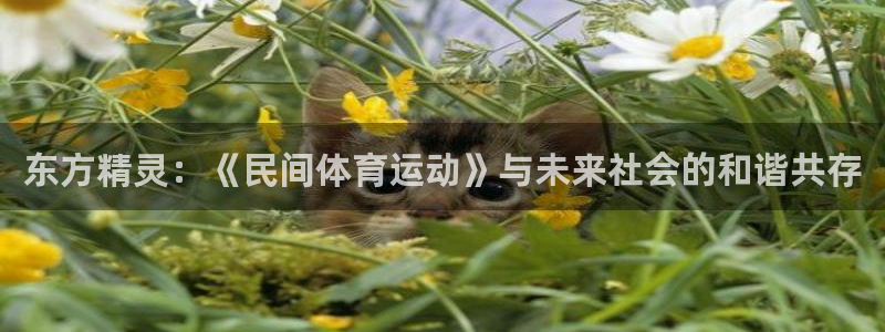 米兰体育官网下载平台APP
