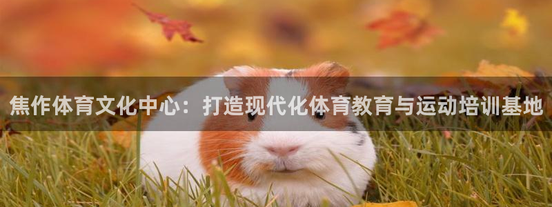 米兰体育官方正版app娱乐是那个系列的台子