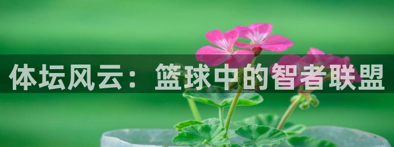 米兰体育官网下载招商电话是多少啊：体坛风云：篮球中的智者联盟