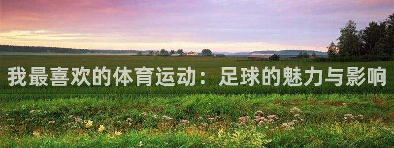 米兰体育官方正版app娱乐网站:我最喜欢的体育运动:足球的魅