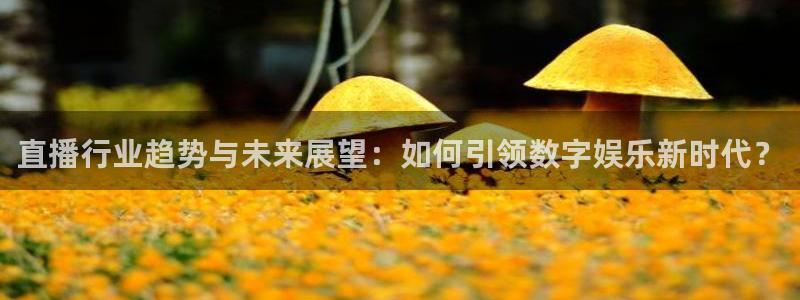 新球体育足球即时比分：直播行业趋势与未来展望：如何引领数字娱乐新时代？