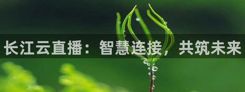 新球体育赛事：长江云直播：智慧连接，共筑未来