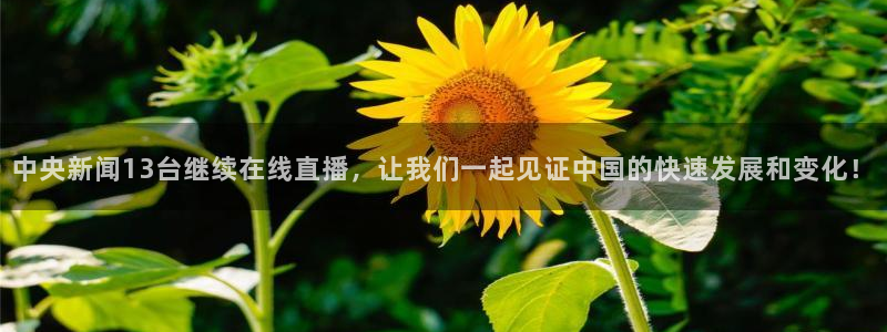 新球体育足球官网：中央新闻13台继续在线直播，让我们一起见证中国的快速发展和变化！