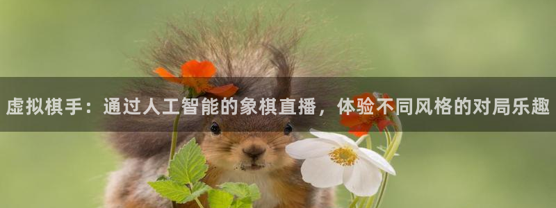 新球体育足球比分：虚拟棋手：通过人工智能的象棋直播，体验不同风格的对局乐趣