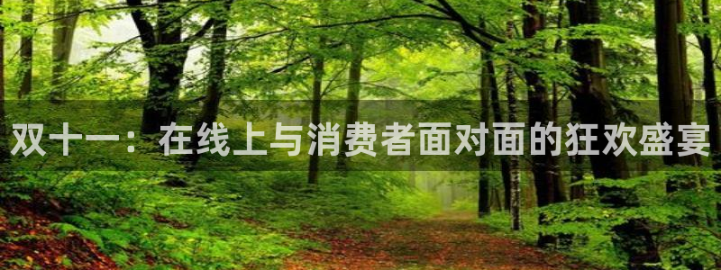 新球足球：双十一：在线上与消费者面对面的狂欢盛宴